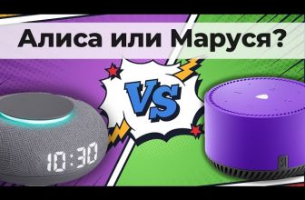 Алиса или капсула Маруся