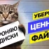 Какой микрофон выбрать для записи видео: топ микрофонов